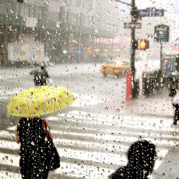 35 (Really) Beautiful Examples of Rain Photography